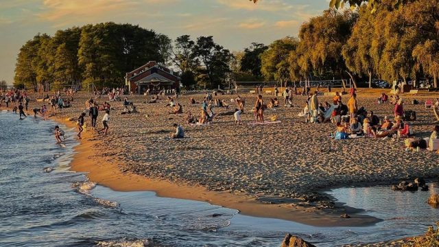 people at Seattle beach