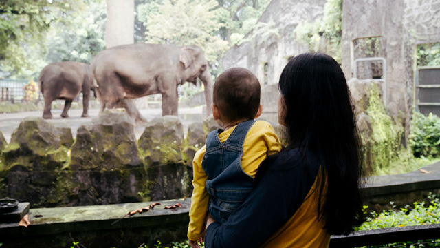 a mom and baby at the zoo, which is one of the best things to do with infants.