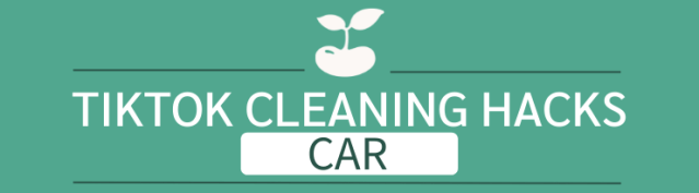 tiktok cleaning hacks toilets car