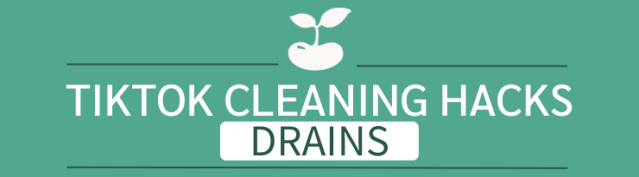 tiktok cleaning hacks toilets drains
