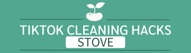 tiktok cleaning hacks toilets stove